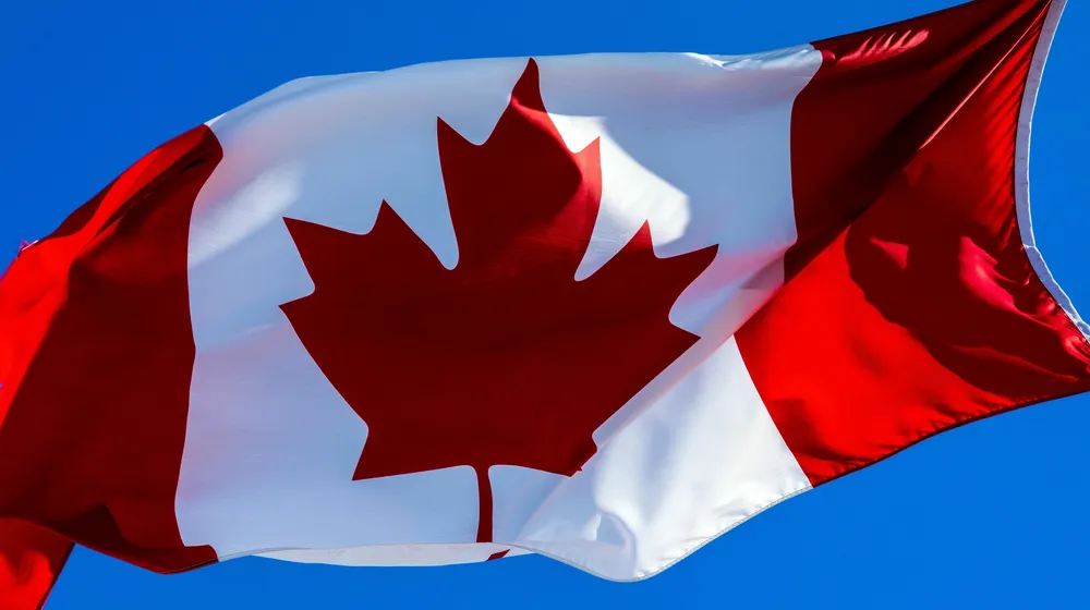 Cover image for Who Does What? Understanding Federal and Provincial Powers in Canada