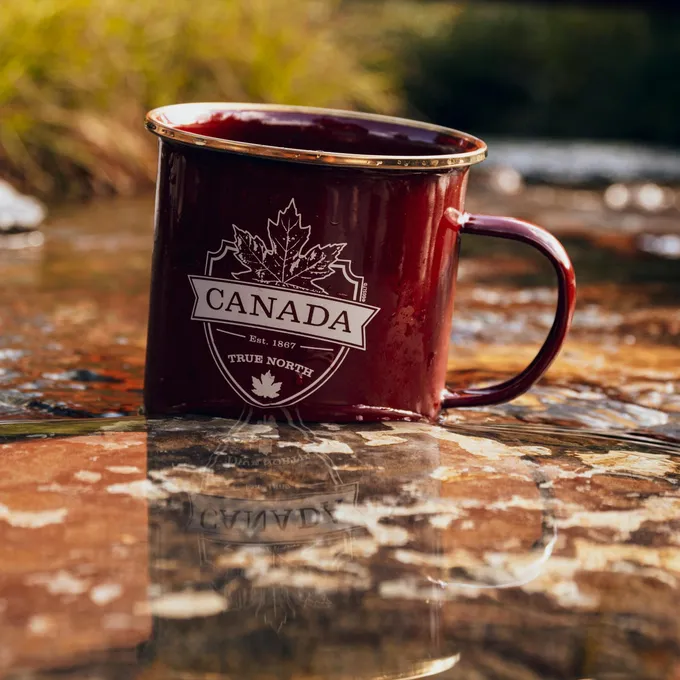 A National Strategy to Strengthen Canada Through Tourism